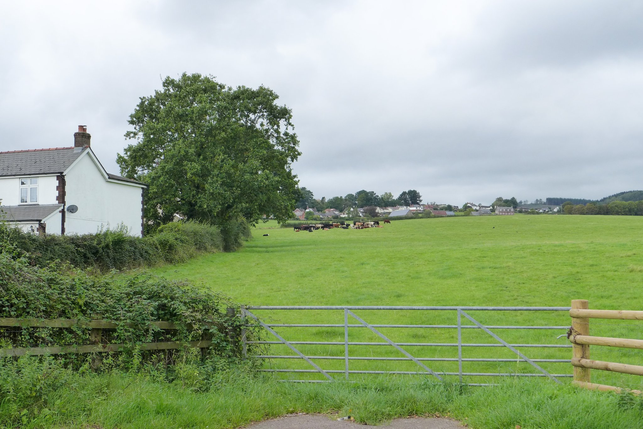 Monmouthshire development plan for up to 6,000 homes squeezes through