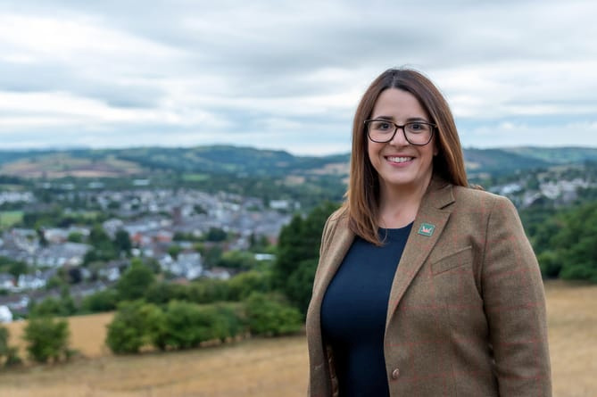 Government role for Fay Jones