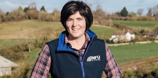 Search is on for 26th Wales Woman Farmer of the Year
