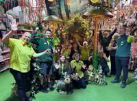 Full steam ahead to changes to popular garden centre