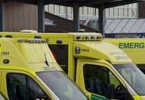 Dozens of patients faced ambulance delays at the Wye Valley Trust 