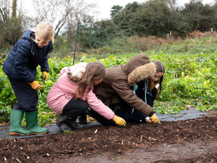 Monmouthshire pupils get hands-on experience at Langtons Farm