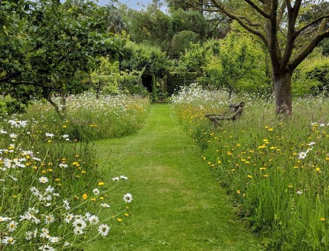 Proposals for Community Nature Spaces in Abergavenny now open