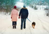 PDSA experts give tips on keeping pets safe in the cold
