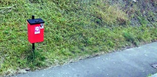 Bins are best to beat dog poo hotspots 