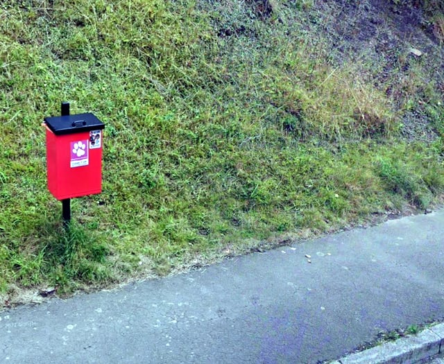 Bins are best to beat dog poo hotspots 