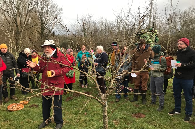 Abergavenny Wassail at Laurie Jones Community Orchard