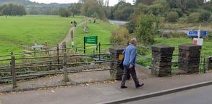 Castle Meadow users want swing gates not cattle grids survey shows