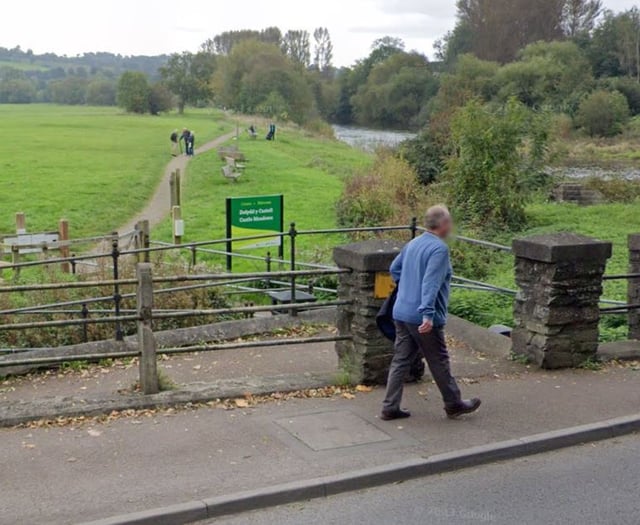 Castle Meadow users want swing gates not cattle grids survey shows