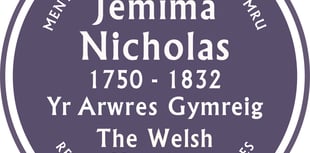 Wales' 15th purple plaque unveiled 