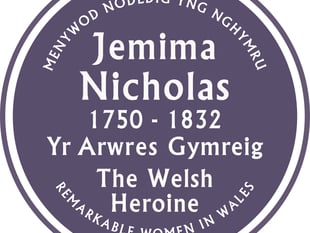 Wales' 15th purple plaque unveiled 
