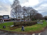 Meat plant greenlight