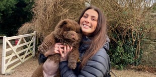 Ashmole & Co Abergavenny member takes on Half Marathon