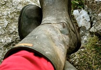 Farmers asked to donate old wellies to campaign Senedd display