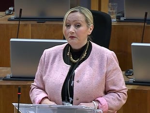 Senedd passes 'stark and painful' budget plan for coming year