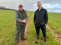 MP says Welsh Government "cannot see wood for trees" on farming plans