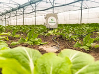 Irrigation sensors enable accurate crop management
