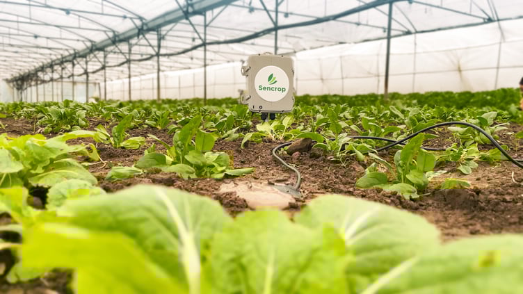 Soilcrop