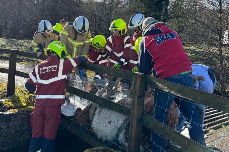 Emergency services rescuing a Shetland pony from cattle grid