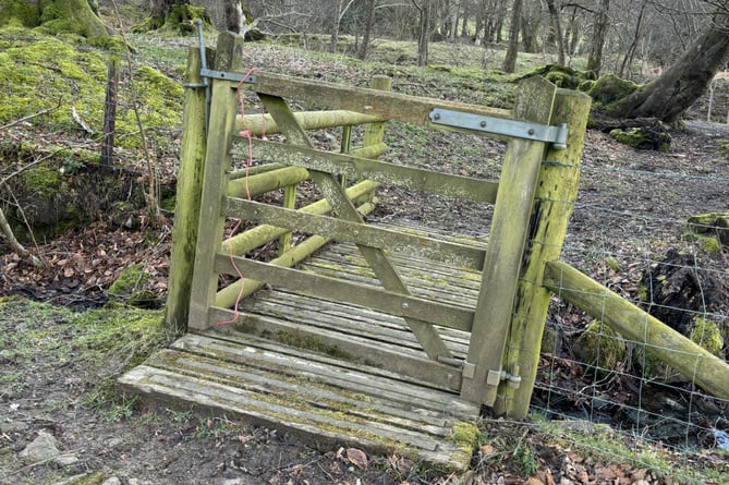 The gate where the Shetland Pony escaped from