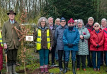 Tree planting at St Peter’s to mark King’s coronation