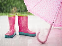 Weather for the week ahead in the Chronicle area