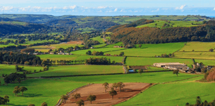 Royal Welsh sustainable grass event to be held in Ceredigion