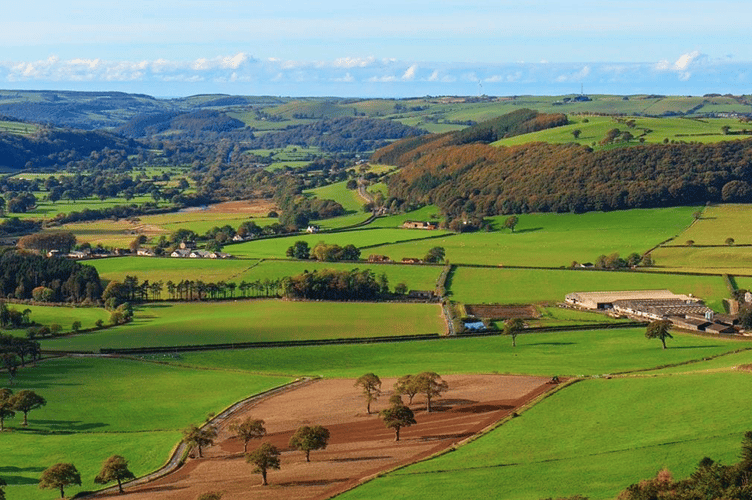 Trawsgoed Farm