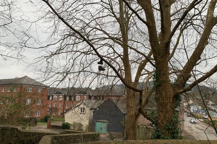 The new 'Trainer Tree'