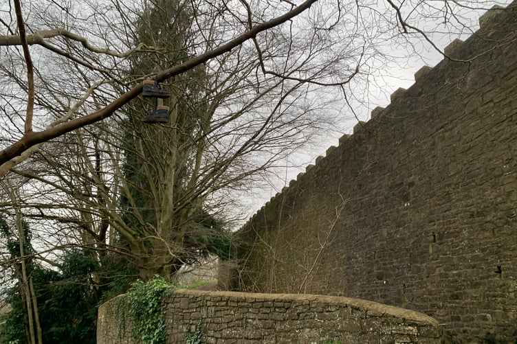 A tree hung with trainers