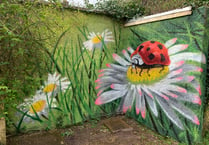 
Bailey Park explodes in a riot of colour with new mural! 