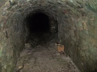 
Man claims he has found the entrance to Aber’s secret tunnel network 