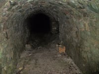 
Man claims he has found the entrance to Aber’s secret tunnel network 
