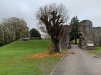 Abergavenny Arts Festival returns this June