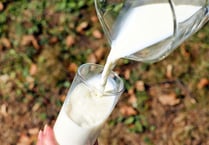 MCC defends Raglan Dairy contract decision