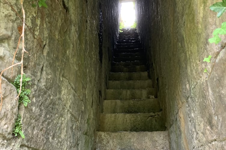 Steps