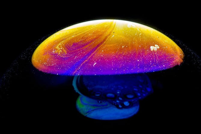 A psychedelic mushroom 
