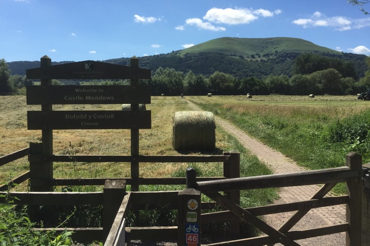 Castle Meadows