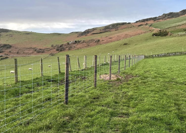Fencing and Gate Installation Post and Strained Wire