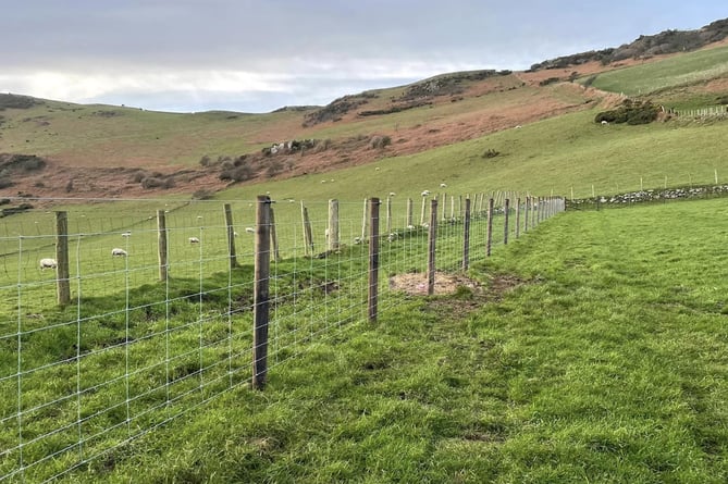 Fencing and Gate Installation Post and Strained Wire
