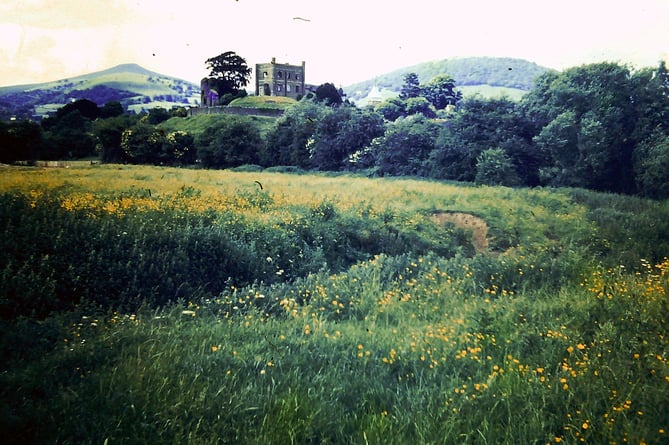 Abergavenny Castle 