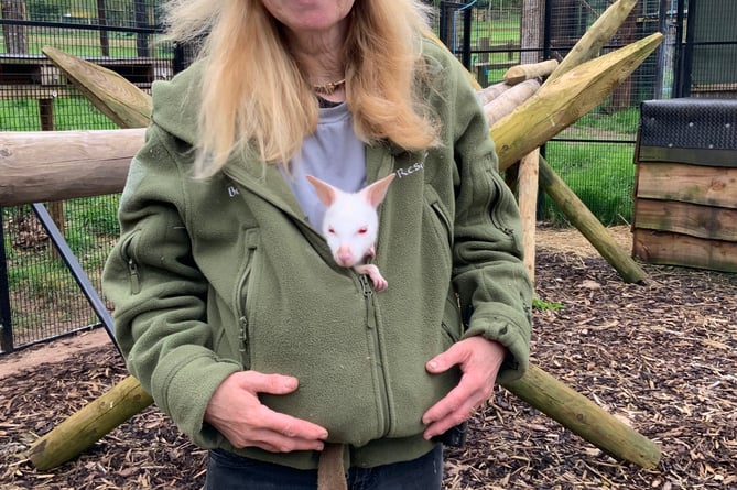 Lindsay's coat is a good place to keep warm for this little fellow