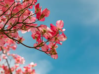 The weather for the week ahead with Jonathan Powell