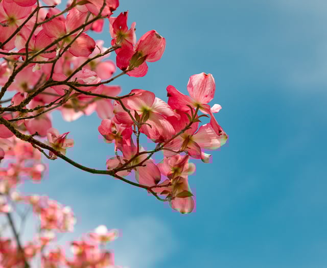 The weather for the week ahead with Jonathan Powell