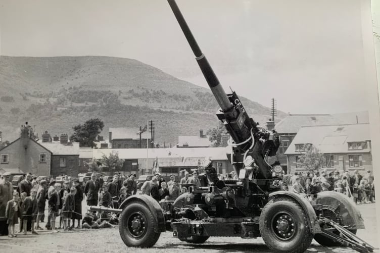 A big gun in Bailey Park