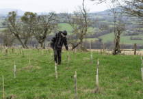 Abergavenny based charity continue mission to plant 1 million trees