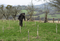 Abergavenny based charity continue mission to plant 1 million trees
