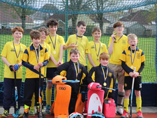 Hockey boys prove hit to reach play-offs