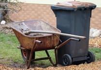 The Editor Writes: The joys of a quiet afternoon in the garden