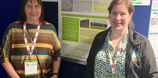 HCC shares research results at high-profile industry conference